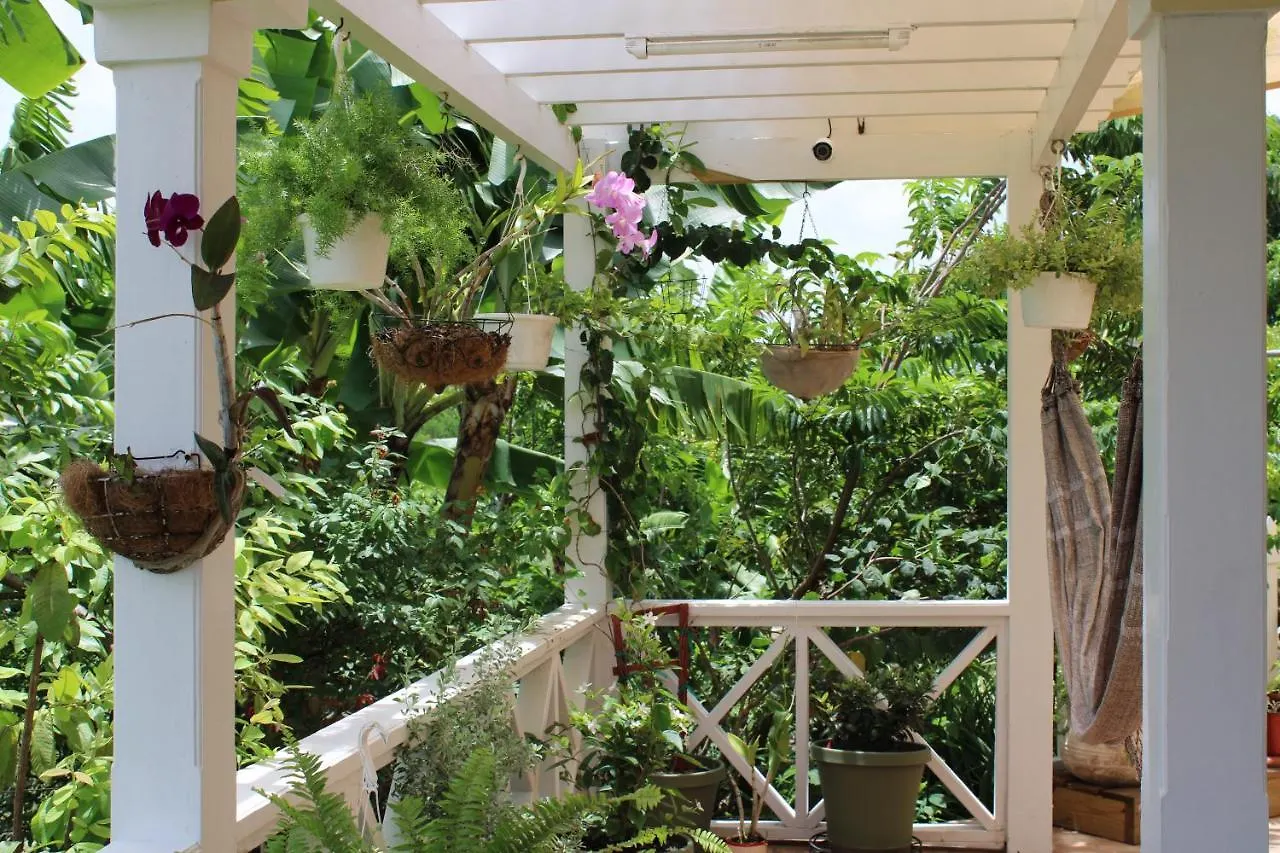 Tropical Garden Cottage Antigua St. John's 0*,  Antigua/Barbuda