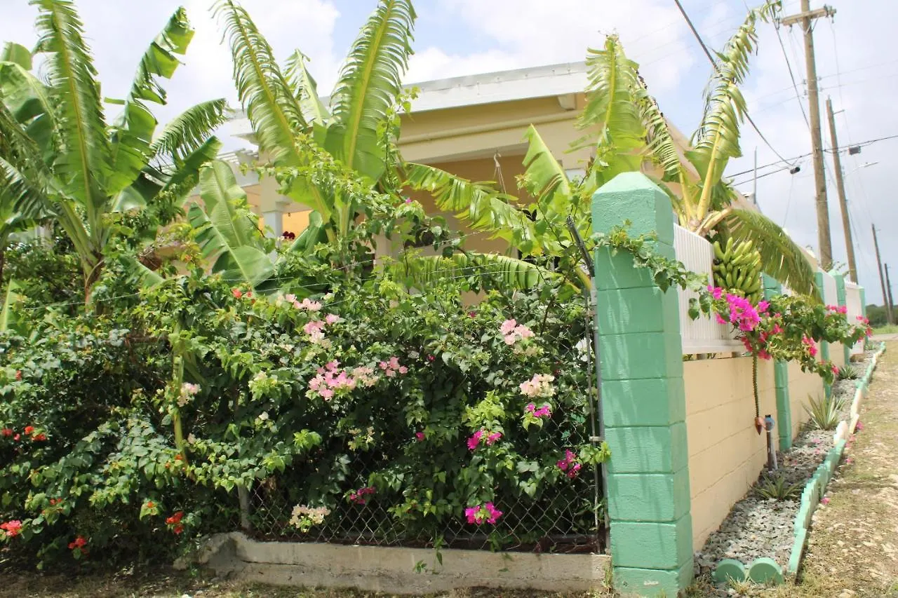 Tropical Garden Cottage Antigua St. John's