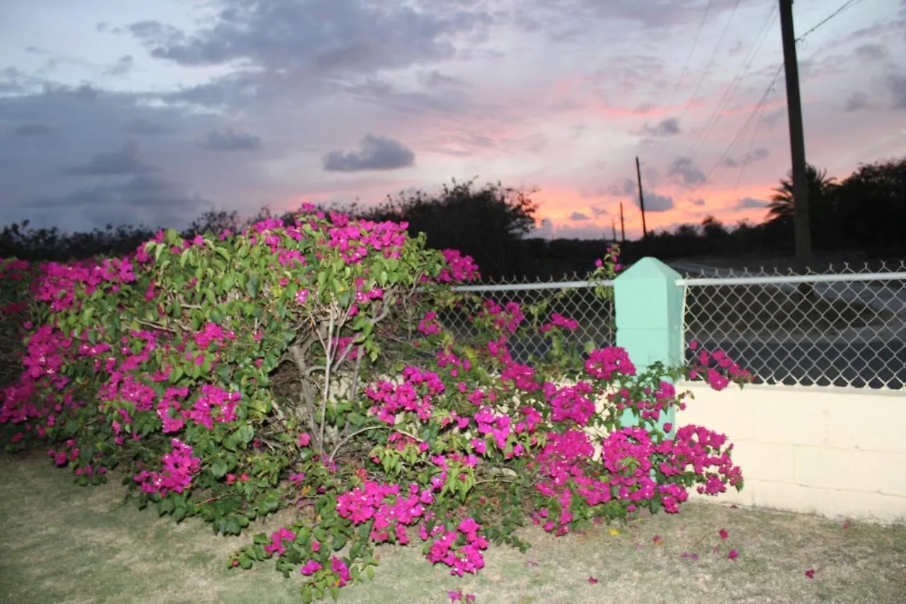 Tropical Garden Cottage Antigua St. John's