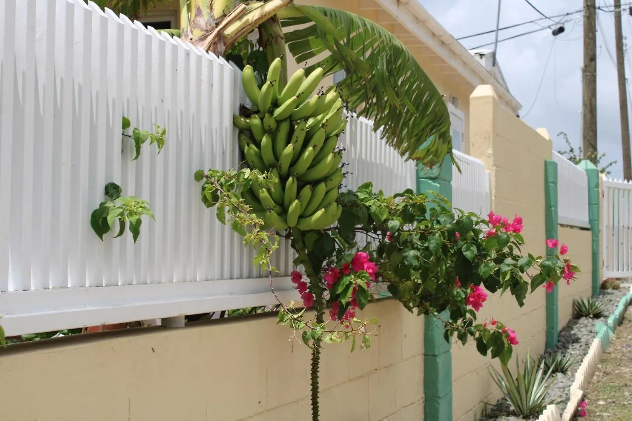 Apartment Tropical Garden Cottage Antigua St. John's