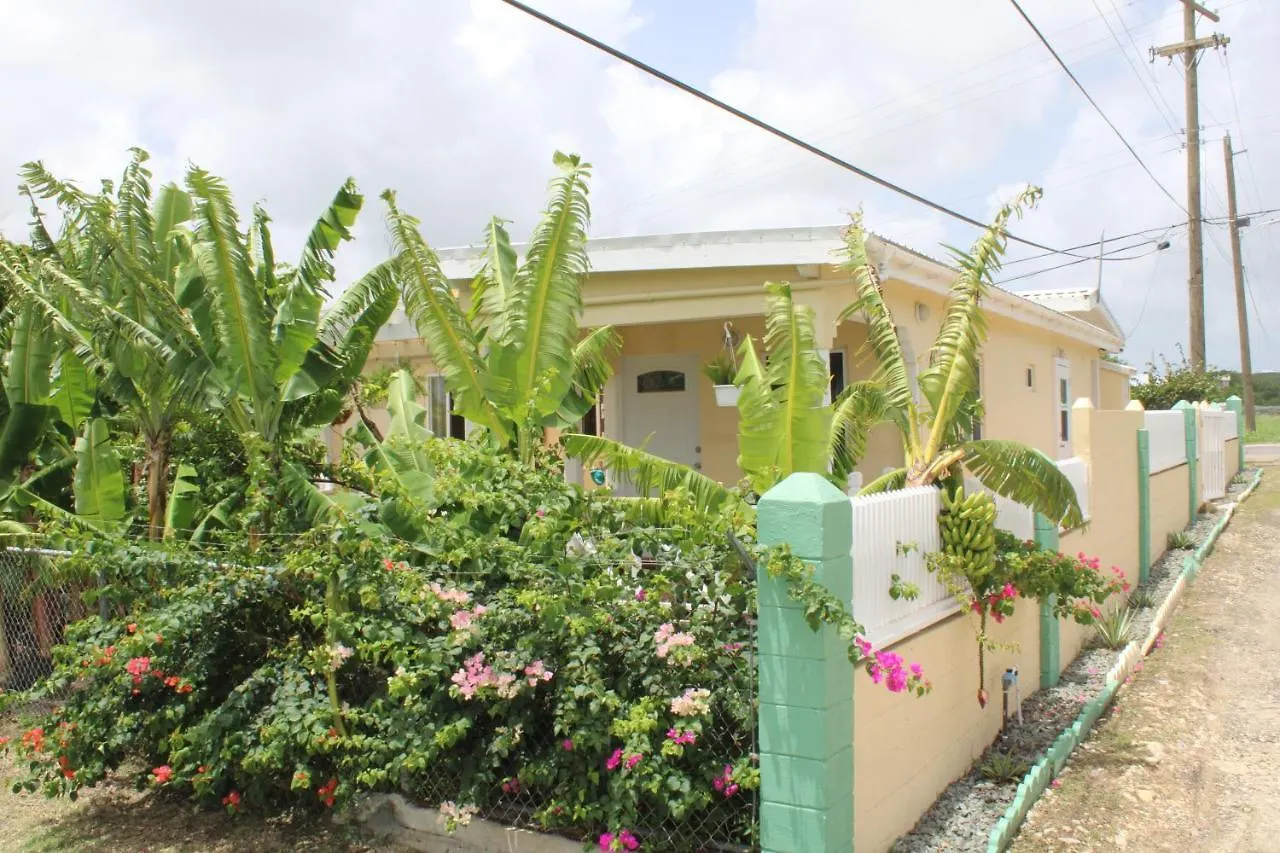 Tropical Garden Cottage Antigua St. John's Apartment