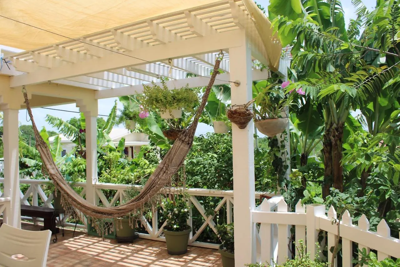 Tropical Garden Cottage Antigua St. John's